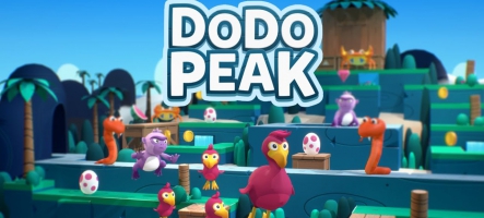 Dodo Peak arrive sur Switch