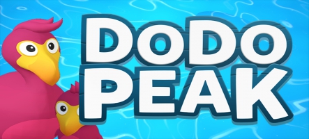 Dodo Peak disponible sur Switch