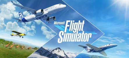 Microsoft Flight Simulator disponible