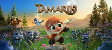 Tamarin un jeu tout mignon sort le 10 septembre