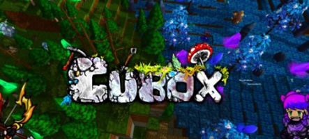 Cubox, un MMORPG façon Minecraft, Diablo et Don't Starve...