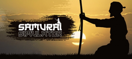 Samurai Simulator : tout est dans le titre