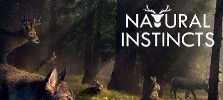 Natural Wildlife, un jeu de simulation d'écosystème, lance son early access