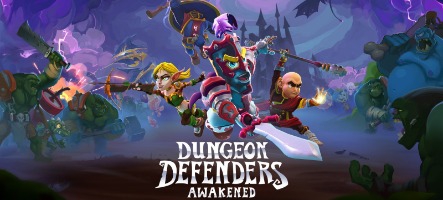 Dungeon Defenders : Awakened débarque sur Nintendo Switch