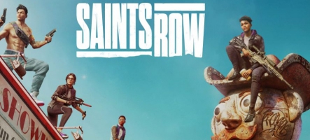 Saints Row : Welcome To Santo Ileso