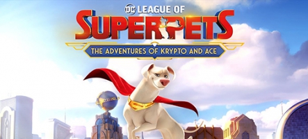 DC Super Chien : les aventures de Krypto et Ace, un jeu pour les enfants