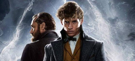 Les Animaux Fantastiques 3 : Les Secrets de Dumbledore, la bande-annonce