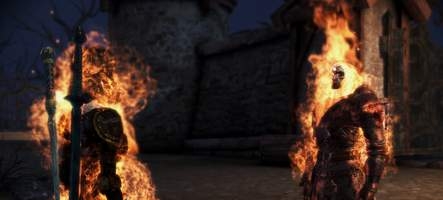 Feedback : Dragon Age Origins : the Awakening