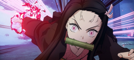 Demon Slayer - Kimetsu No Yaiba - The Hinokami Chronicles arrive sur Switch le 10 juin