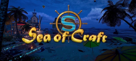 Sea of Craft ouverture de l'early access