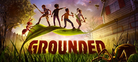 Une date de sortie annoncée pour Grounded