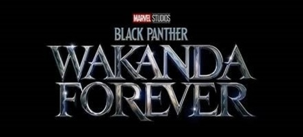 Black Panther : Wakanda Forever dévoile son affiche et sa bande-annonce