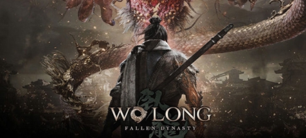 Une date de sortie pour Wo Long: Fallen Dynasty