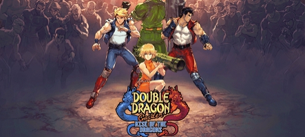 Double Dragon Gaiden : Rise of the Dragon se modernise 