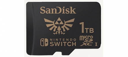 (TEST) SanDisk microSDXC 1To The Legend of Zelda