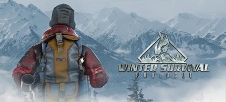 Winter Survival, un nouveau jeu de survie