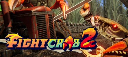 Fight Crab 2, un jeu de combat qui sent la marée