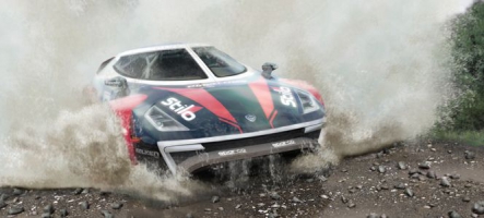 Dirt 3 (PS3, Xbox 360, PC)