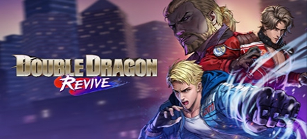 Du nouveau sur Double Dragon Revive