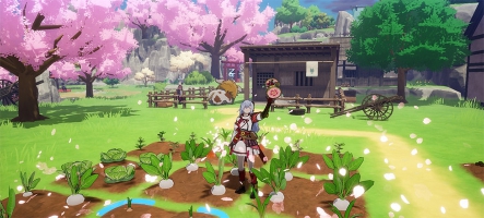 Rune Factory: Guardians of Azuma au Nintendo Direct