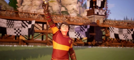 Harry Potter: Champions de Quidditch est sorti