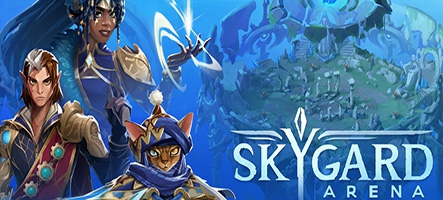 Skygard Arena sort en accès anticipé