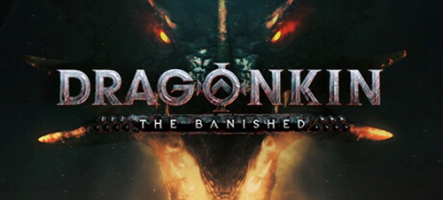 Dragonkin: The Banished sort demain en accès anticipé