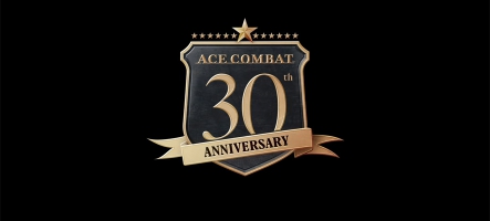 Ace Combat a 30 Ans 
