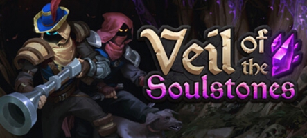 Veil of the Soulstones : un auto battler en temps réel