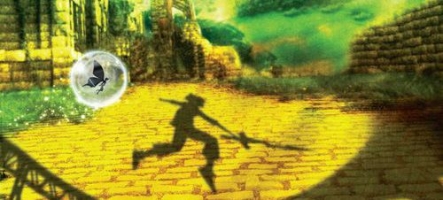 Lost in Shadow : Un titre majeur pour la Wii ?