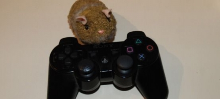 Hamsters D'or 2010 : Elisez le meilleur jeu PS3 de l'année