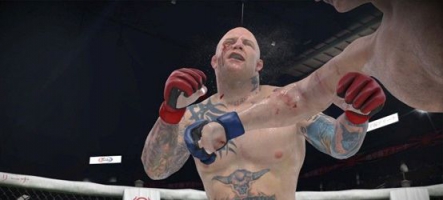 Pas de suite pour le MMA d'Electronic Arts